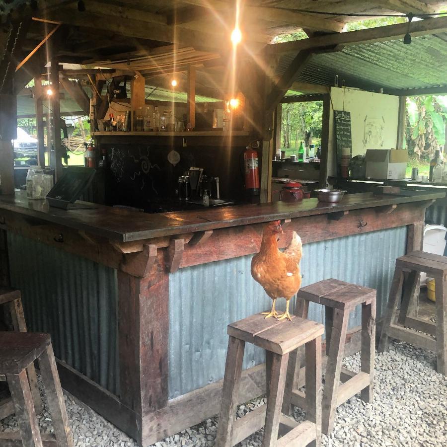 The Jungle Lodge At Kalu Yala ปานามาซิตี้ ภายนอก รูปภาพ