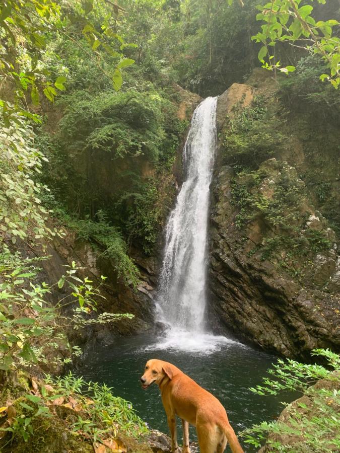 The Jungle Lodge At Kalu Yala ปานามาซิตี้ ภายนอก รูปภาพ